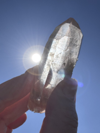 Peach Lemurian 1
