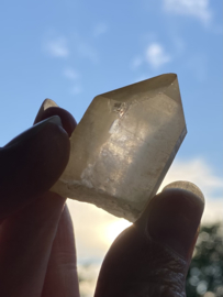 Tangerine Lemurian 25