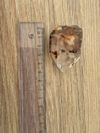 Lemurian (Red Coated) Dreamtime Healers 8