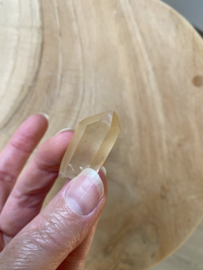 Tangerine Lemurian 32