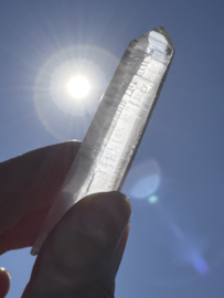Peach Lemurian 13