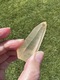 Golden Healer Lemurian 7