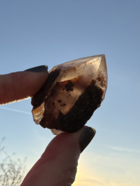 Lemurian (Red Coated) Dreamtime Healers 8