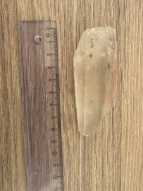 Lemurian Light Phantom 3