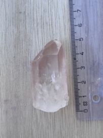 Peach Lemurian 17