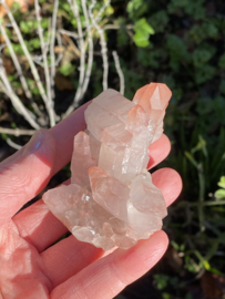 Pink Lemurian - cluster 3