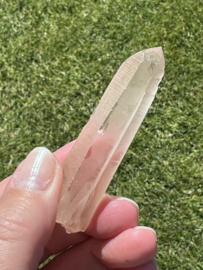 Peach Lemurian 13