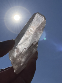 Peach Lemurian 3