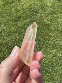 Golden Healer Lemurian 7