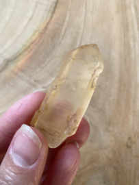 Tangerine Lemurian 9