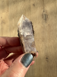 Lemurian (Red Coated) Dreamtime Healers 3