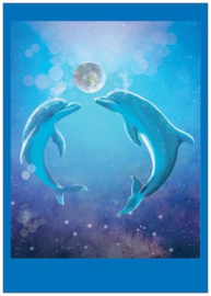 Postkaart Dolfijnen Droomtijd