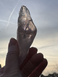 Lemurian Code Keeper of Transformation / UV Amethist Lemurian Root 5