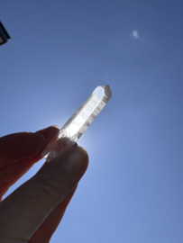 Peach Lemurian 22
