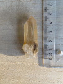 Tangerine Lemurian 26