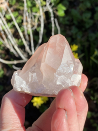 Pink Lemurian - cluster 4