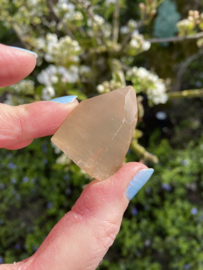 Golden Healer Lemurian (geslepen basis) 13