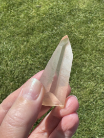 Golden Healer Lemurian 7