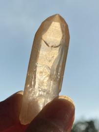 Tangerine Lemurian 10