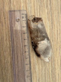 Lemurian (Red Coated) Dreamtime Healers 3