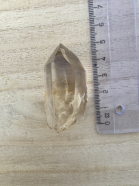 Citrien Lemurian 14