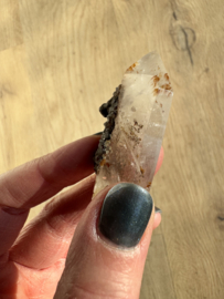 Lemurian (Red Coated) Dreamtime Healers 7