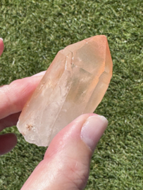 Peach Lemurian 6