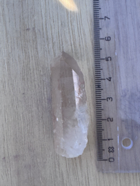 Peach Lemurian 20