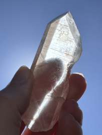 Peach Lemurian 2