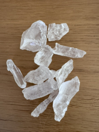 Medium Lemurian Root / Code Keeper of Freedom 3-5 cm