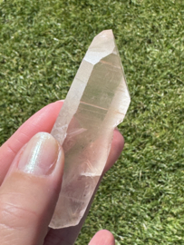 Peach Lemurian 2