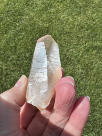 Golden Healer Lemurian 2