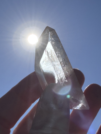 Peach Lemurian 7