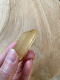 Tangerine Lemurian 20