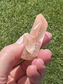 Peach Lemurian 12 - met key