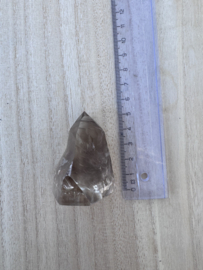 Lemurische Rookkwarts 6