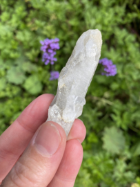 Lodolite Shaman Crystal / Lemurian