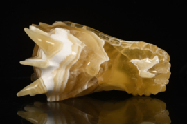 Dragon skull yellow calcite 12 cm