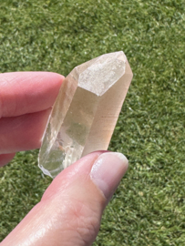 Peach Lemurian 14