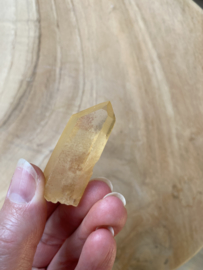 Tangerine Lemurian 20