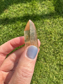 Citrien Lemurian 12