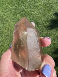 Lemurische Rookkwarts 1