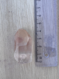Peach Lemurian 19