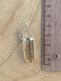 Golden Healer Lemurian hangertje 3