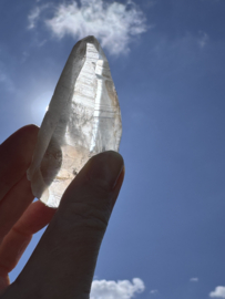 Golden Healer Lemurian 1