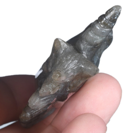 Labradoriet eenhoorn (ongeveer 5 cm)