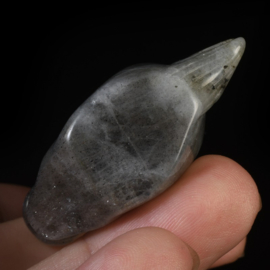 Labradoriet eenhoorn (ongeveer 5 cm)