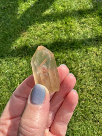 Citrien Lemurian 11