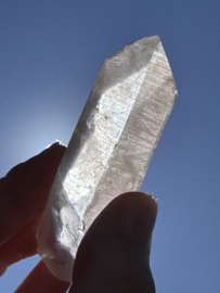 Peach Lemurian 2