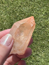 Peach Lemurian 6